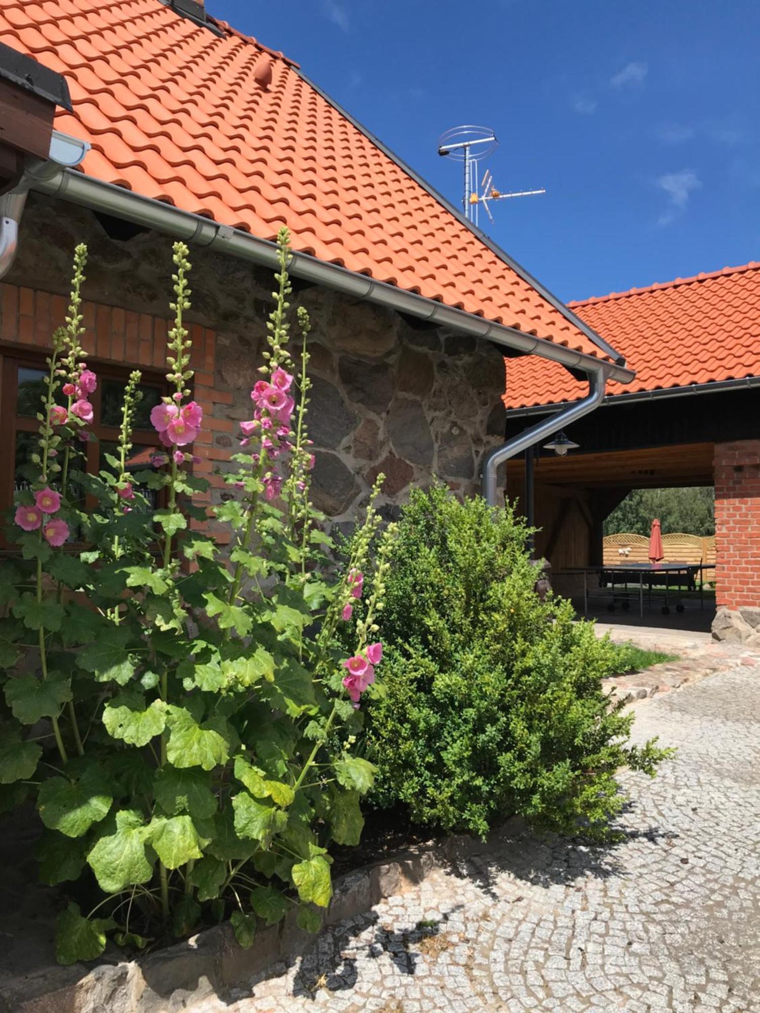 Siedlisko Na Gorce Villa Zalec ภายนอก รูปภาพ