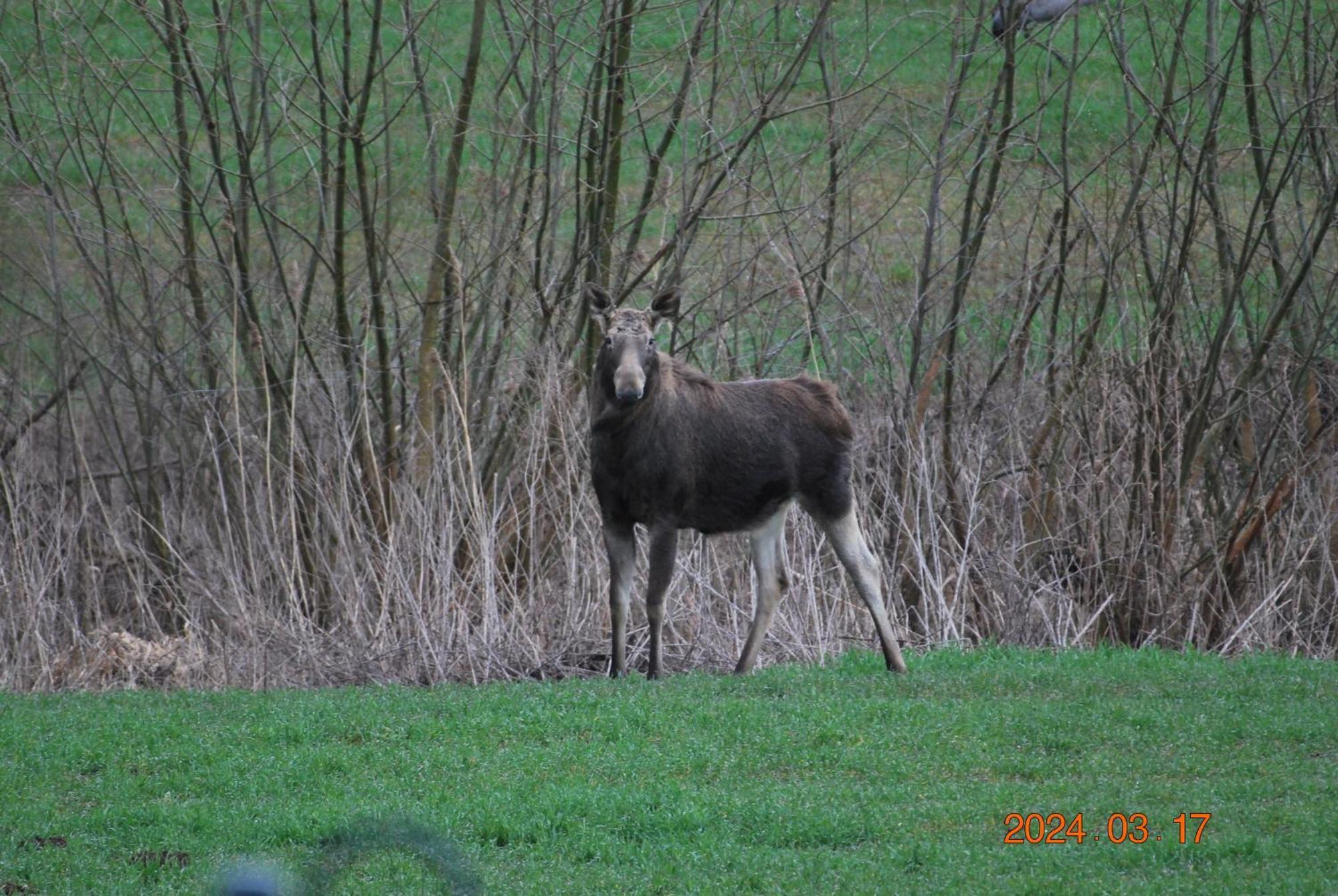Siedlisko Na Gorce Villa Zalec ภายนอก รูปภาพ